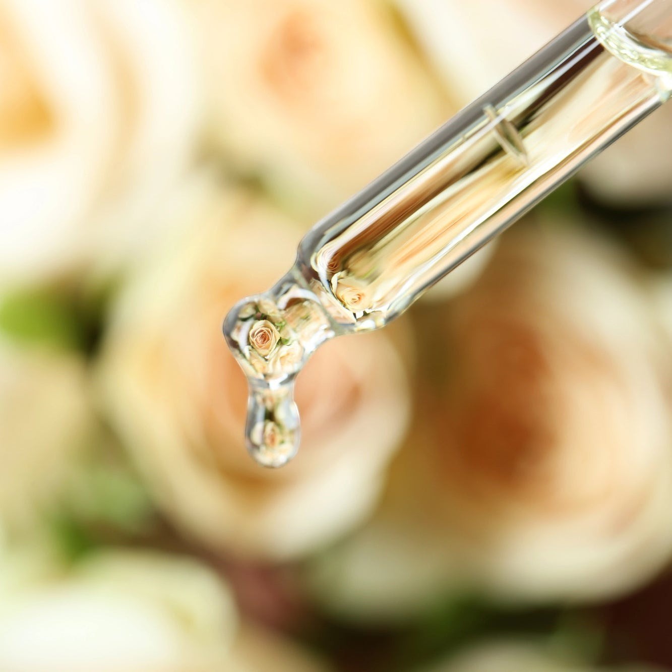 Goutte d'huile claire de sérum visage ORÉRA éco-luxe naturel fabriqué au Québec sans cruauté.