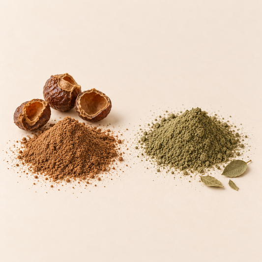 Mousse brune et poudre verte avec coquilles brunes et feuilles sur fond beige.