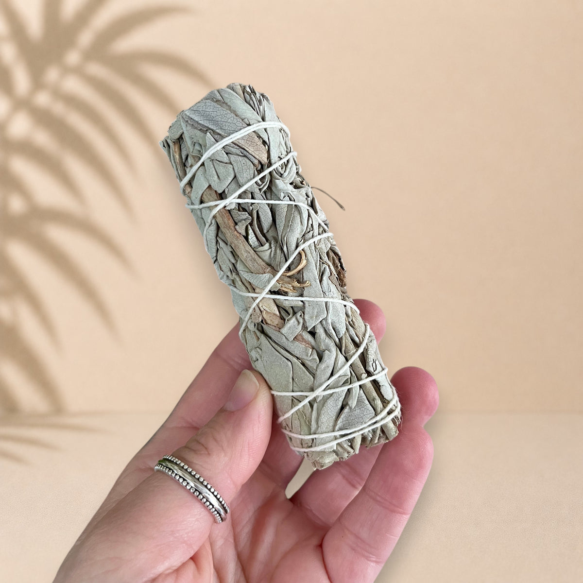 Bâton de sauge blanche lié avec de la ficelle, tenu dans une main.