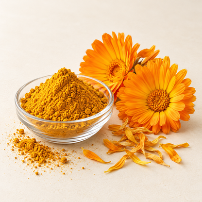Poudre de curcuma dans une coupelle de verre, fleurs et pétales de calendula sur fond ivoire.