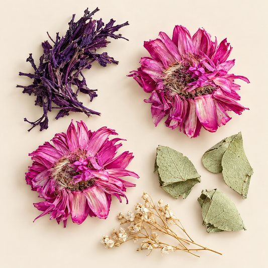 Composition botanique de végétaux violets, fleurs roses séchées et feuilles vertes sur fond ivoire.